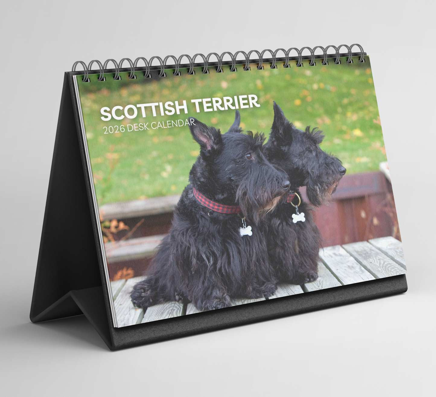 Scottish Terrier Desk Calendar 2026-2027