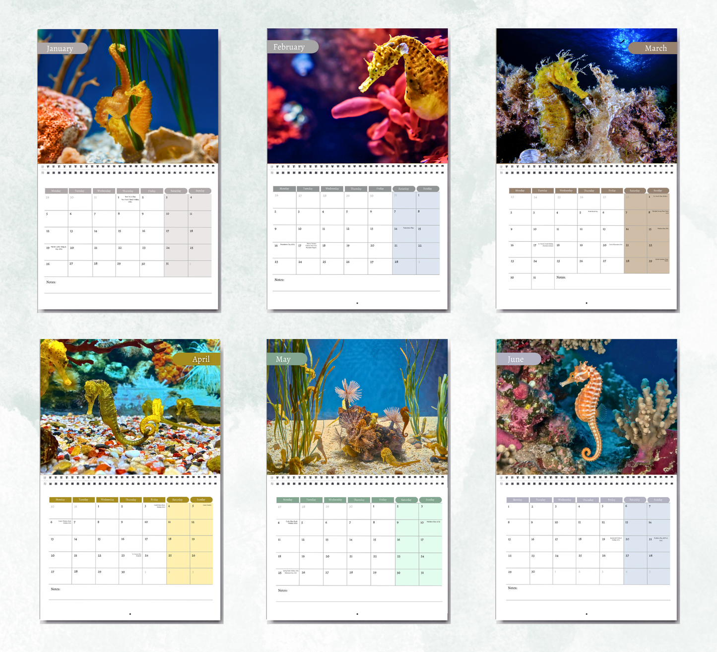 Seahorse Calendar 2026