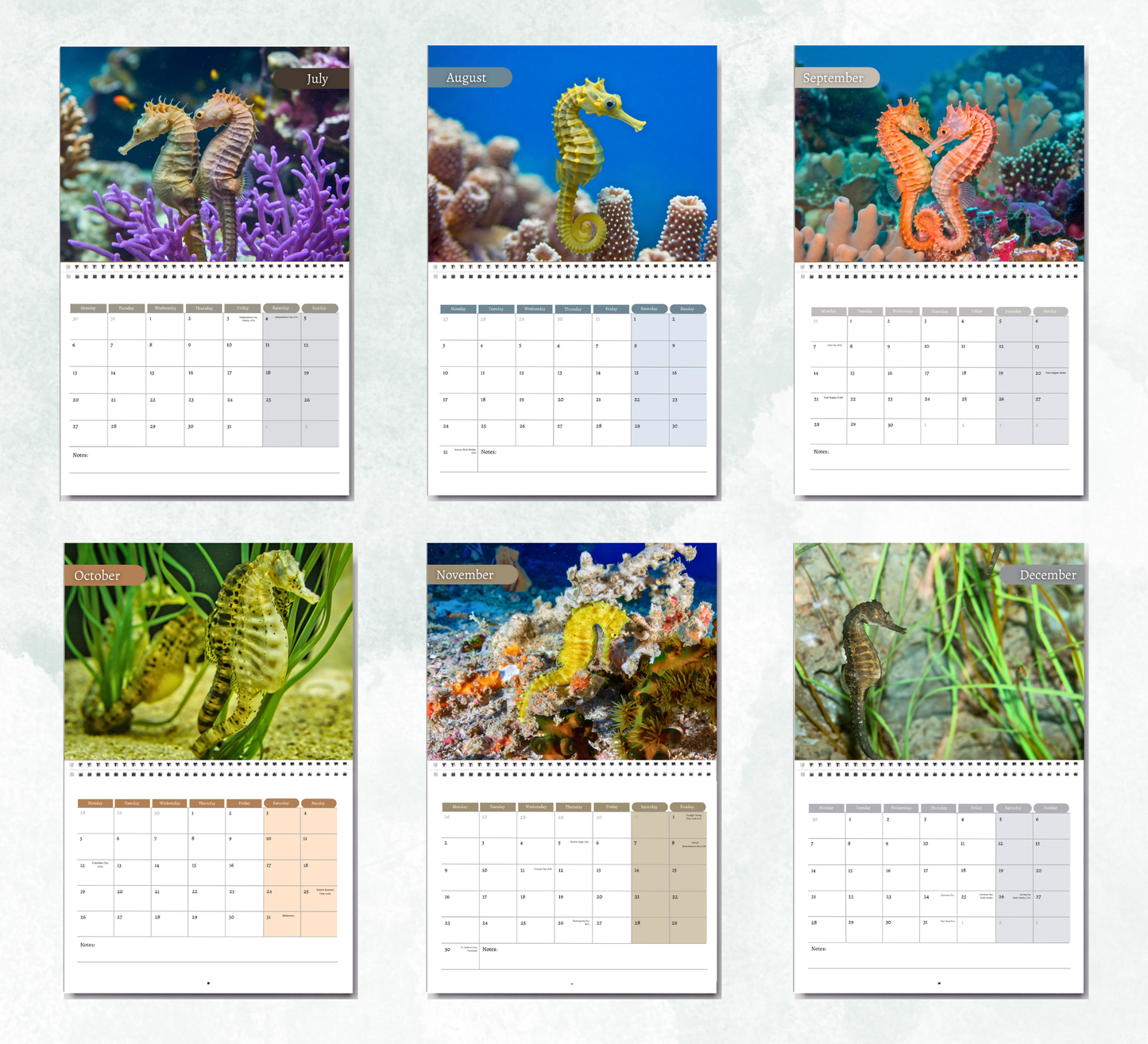 Seahorse Calendar 2026