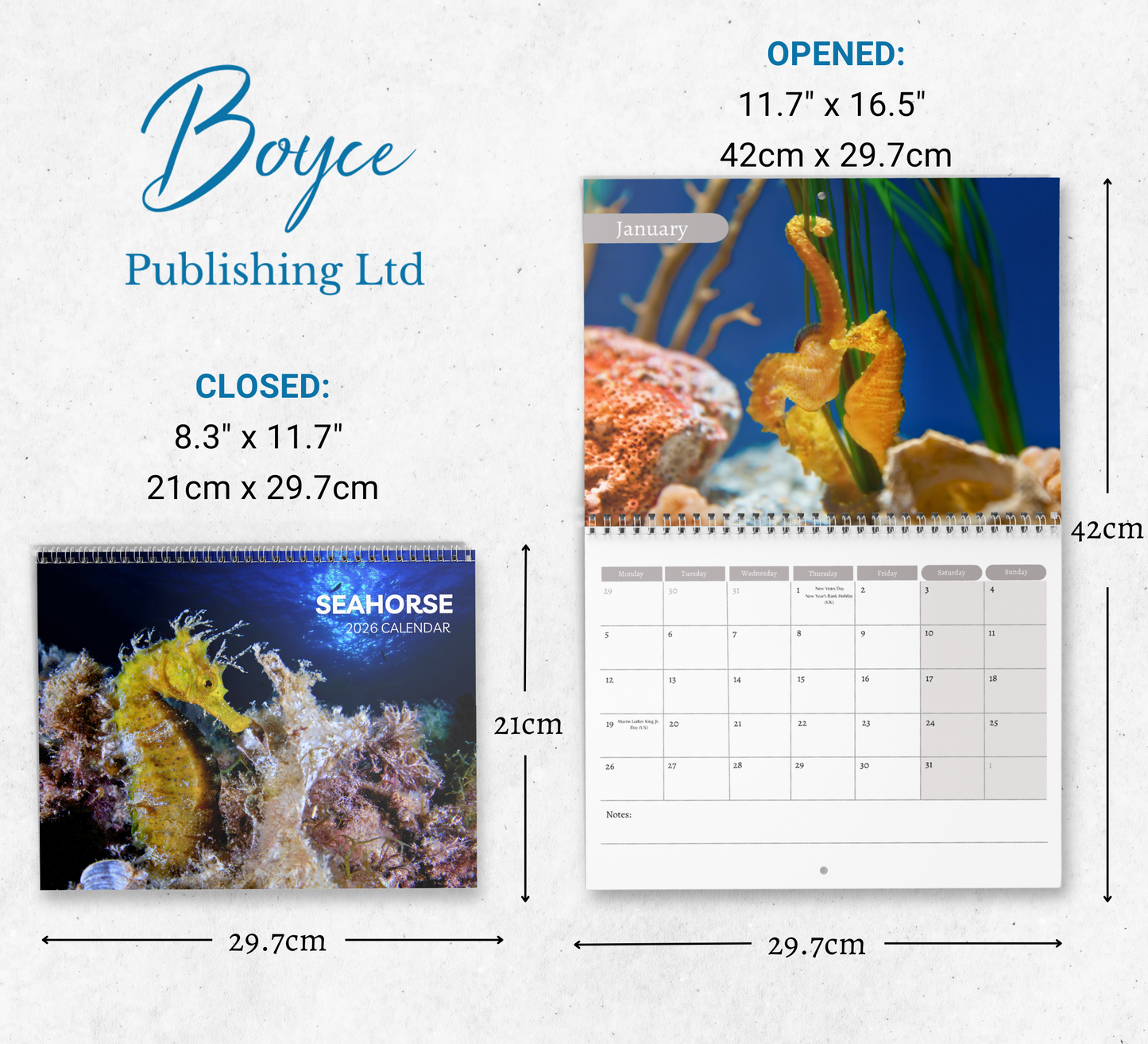 Seahorse Calendar 2026