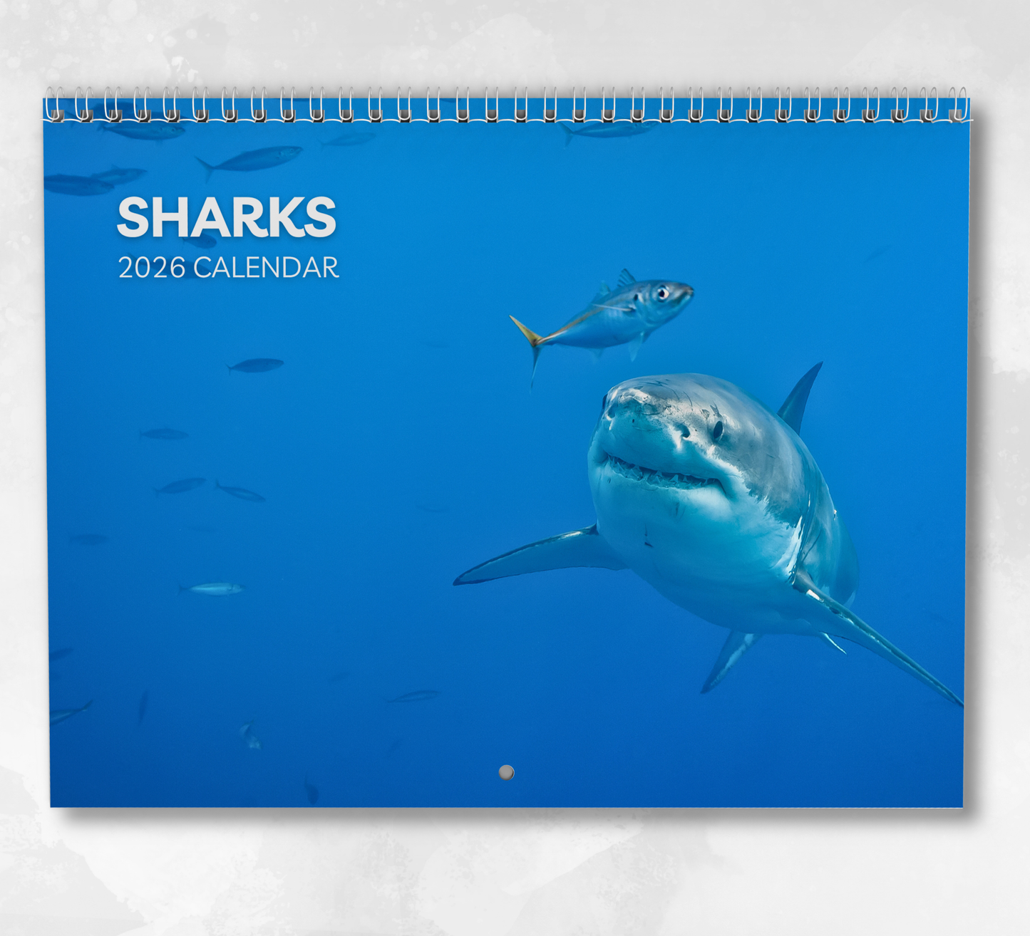 Shark Calendar 2026