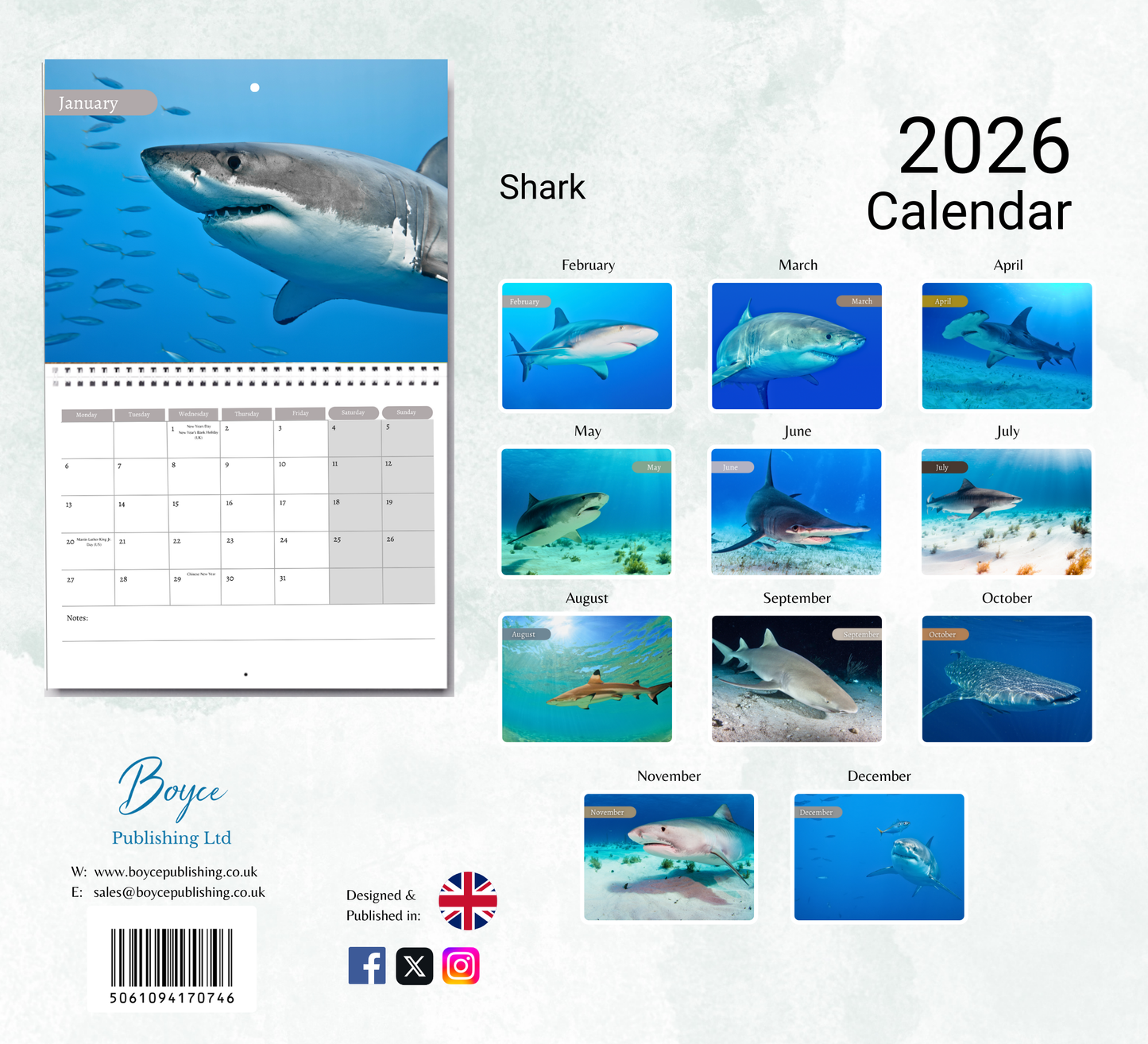 Shark Calendar 2026