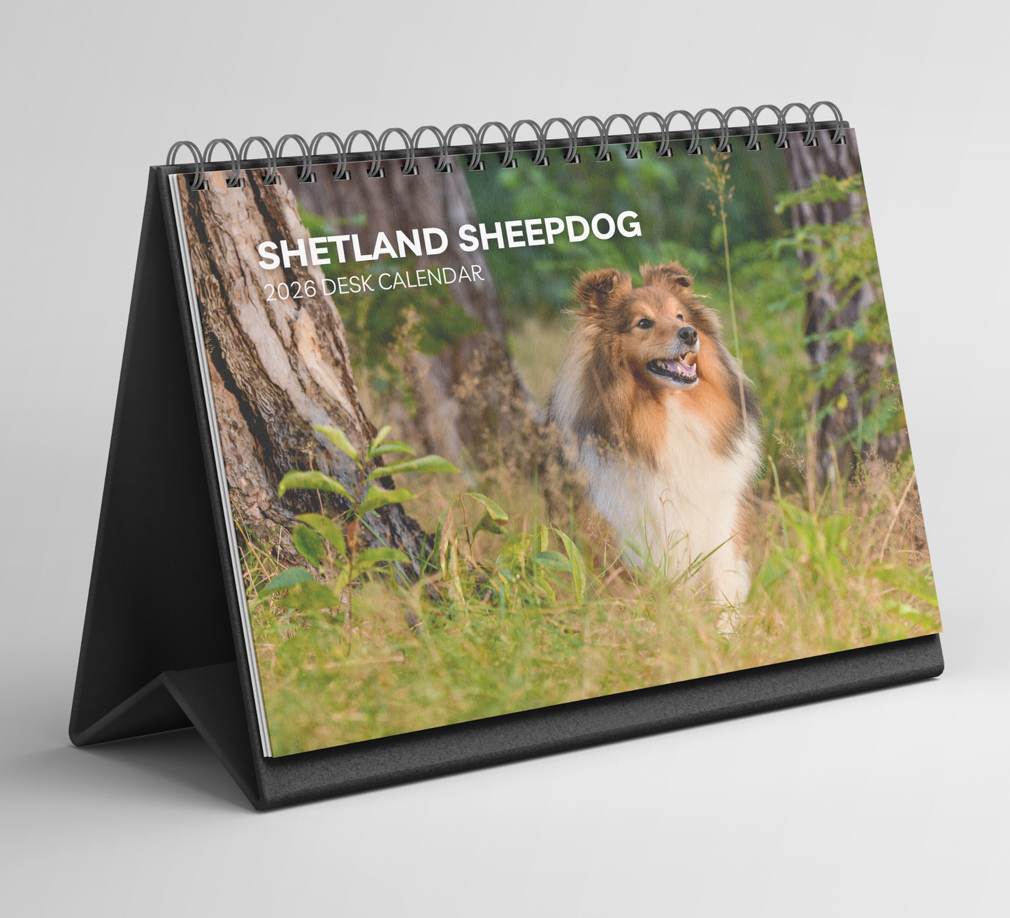 Shetland Sheepdog Desk Calendar 2026-2027