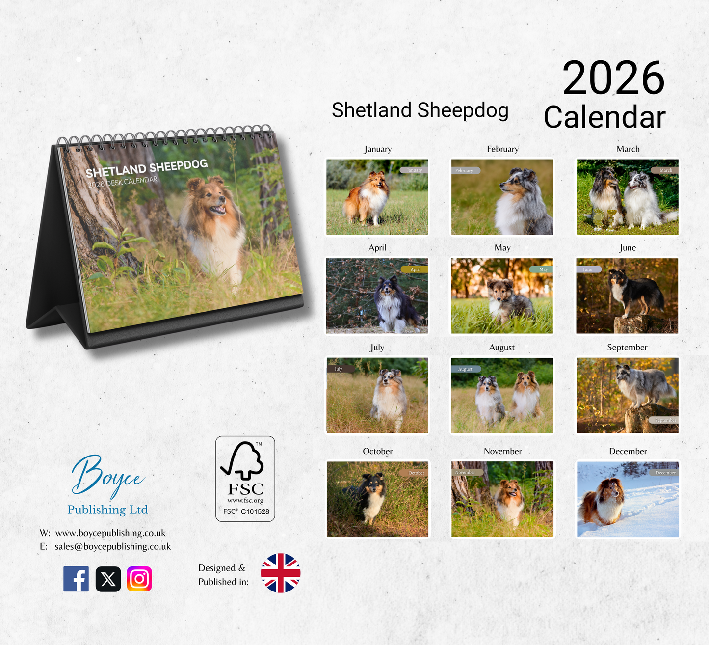 Shetland Sheepdog Desk Calendar 2026-2027