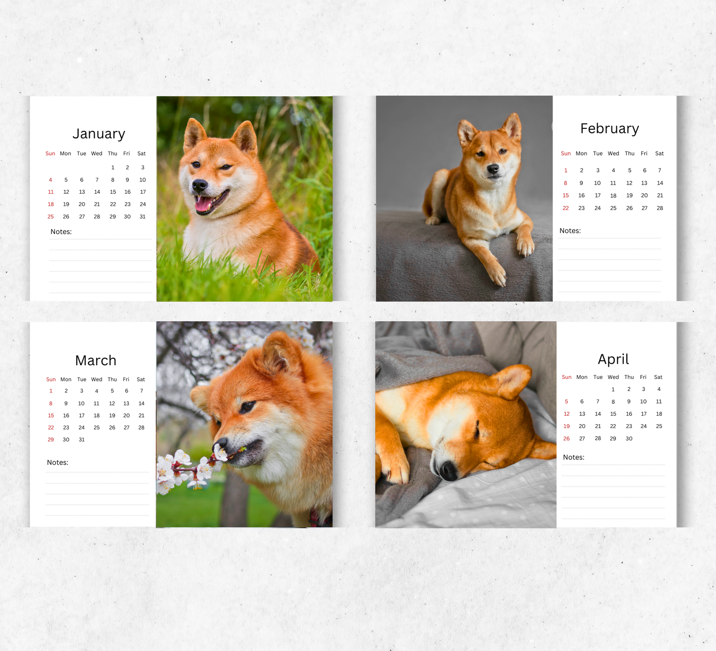 Shiba Inu Desk Calendar 2026-2027