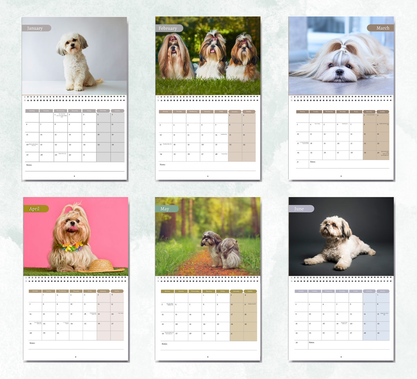 Shih Tzu Calendar 2026