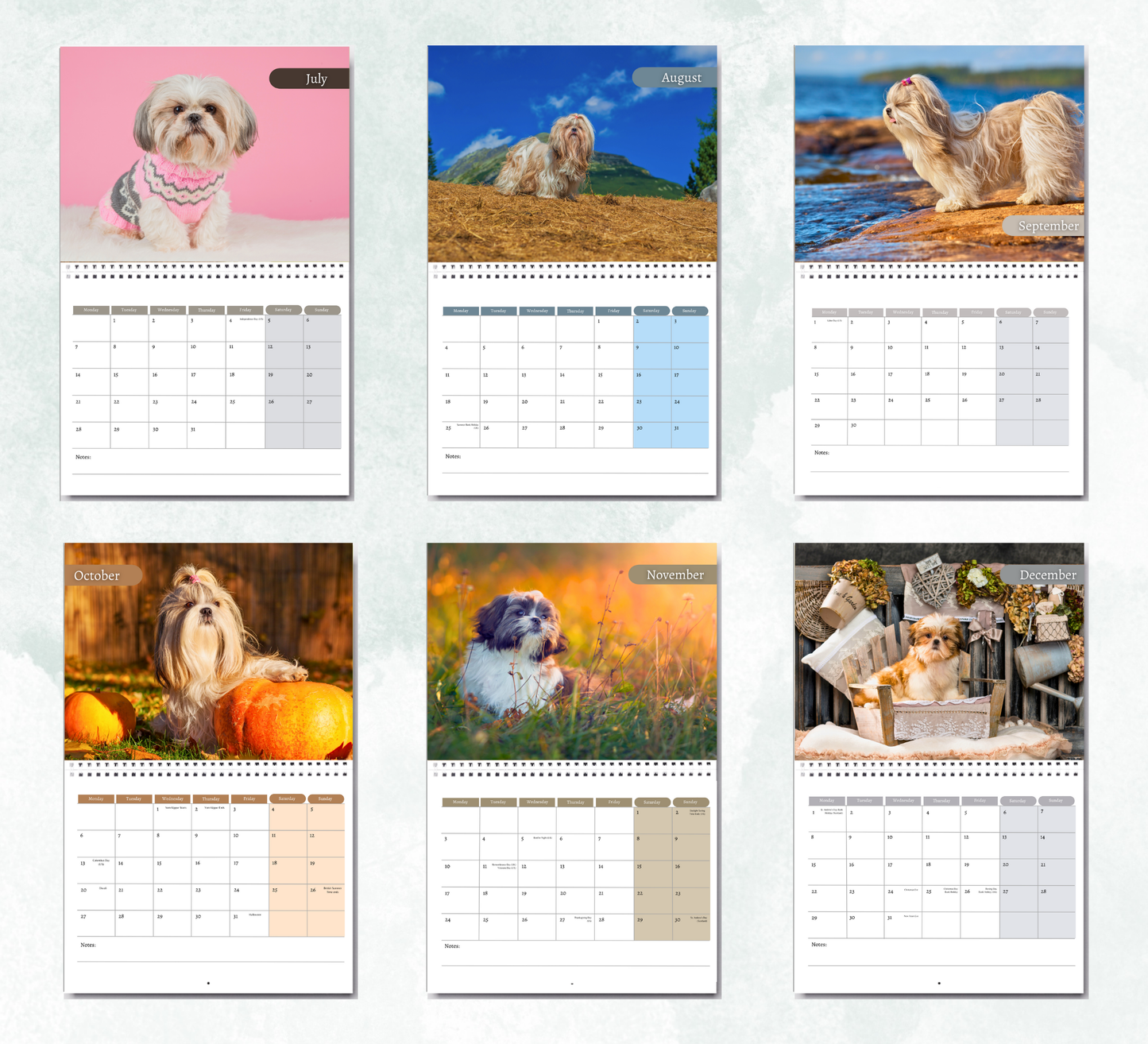 Shih Tzu Calendar 2026