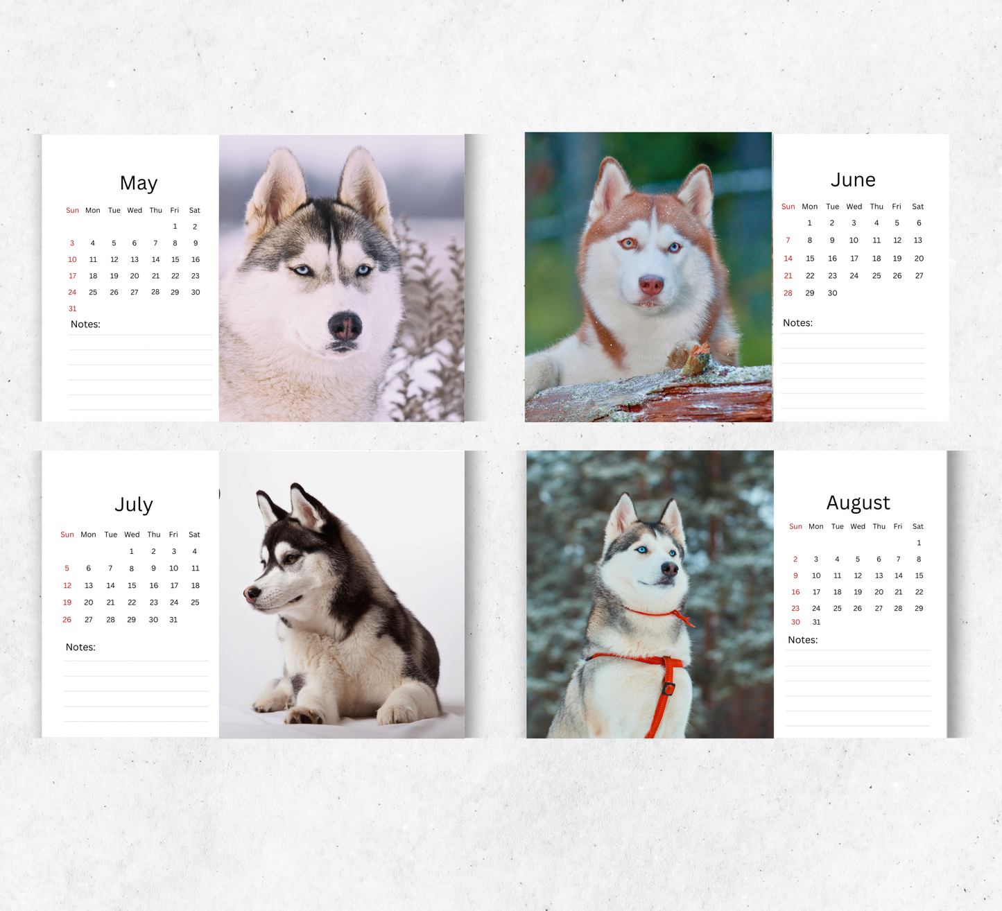 Siberian Husky Desk Calendar 2026-2027