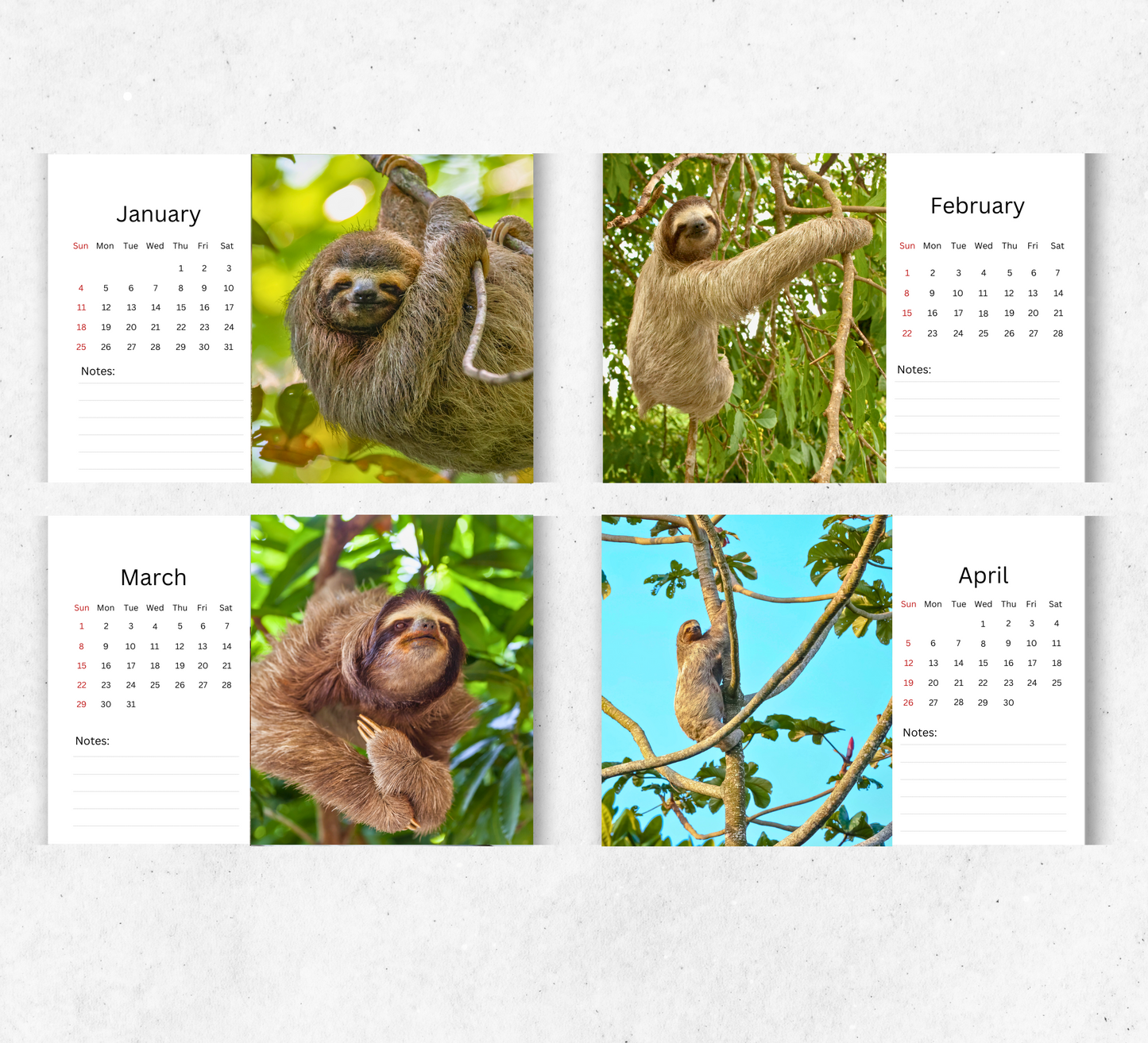 Sloth Desk Calendar 2026-2027