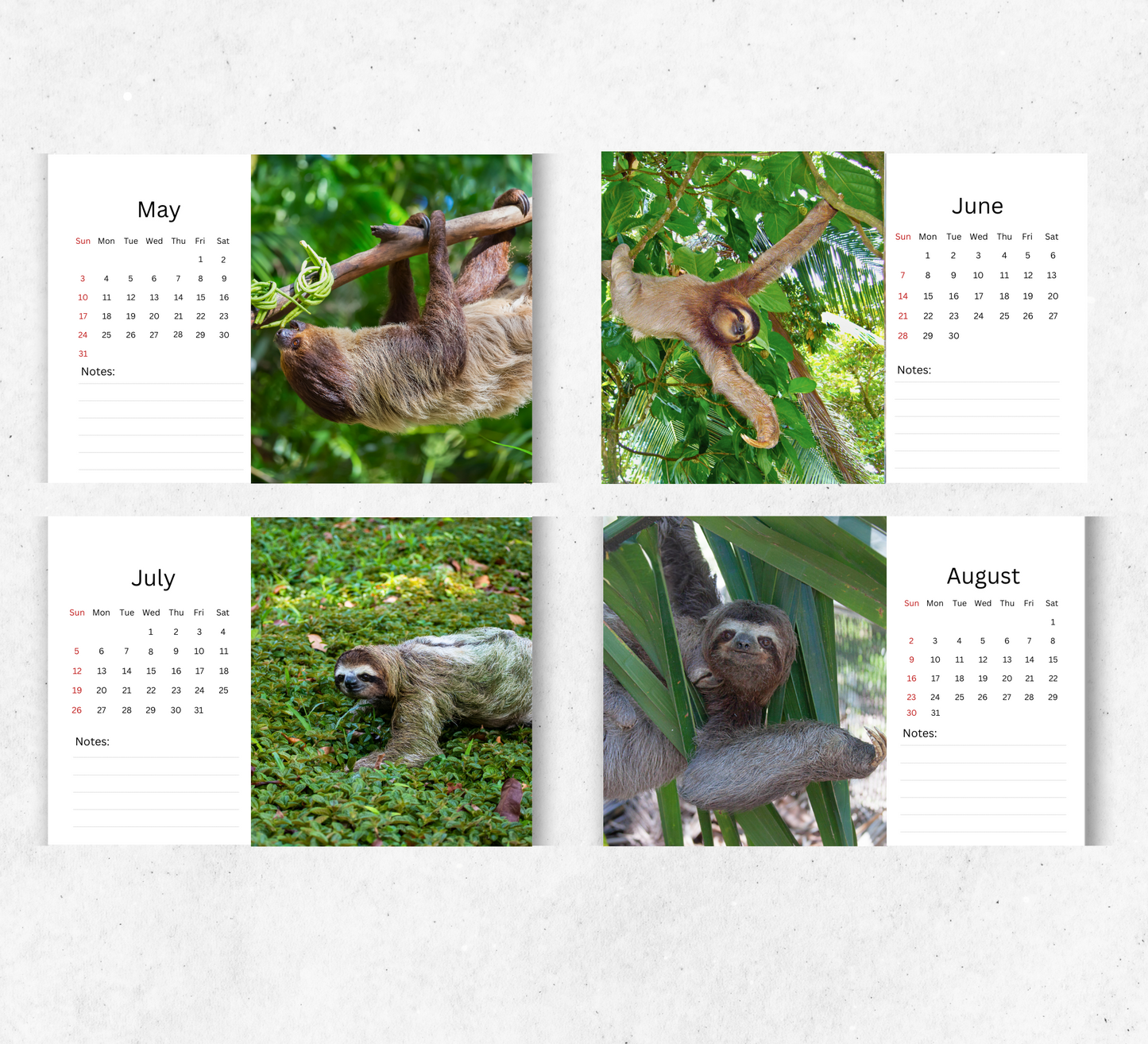 Sloth Desk Calendar 2026-2027