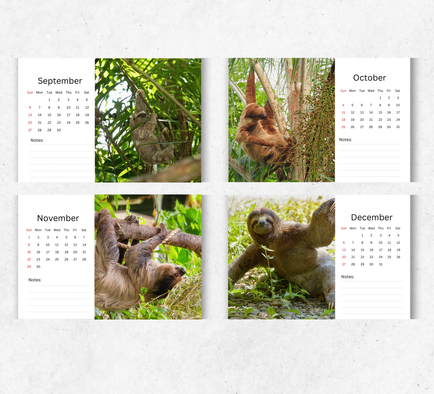 Sloth Desk Calendar 2026-2027
