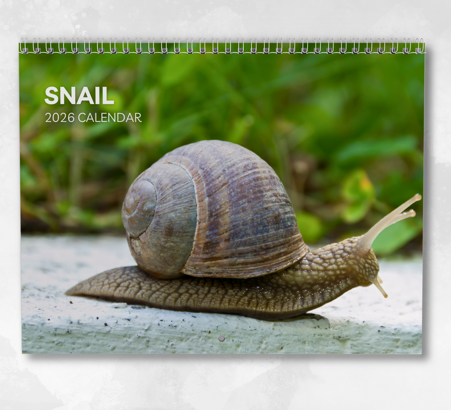 Snail Calendar 2026