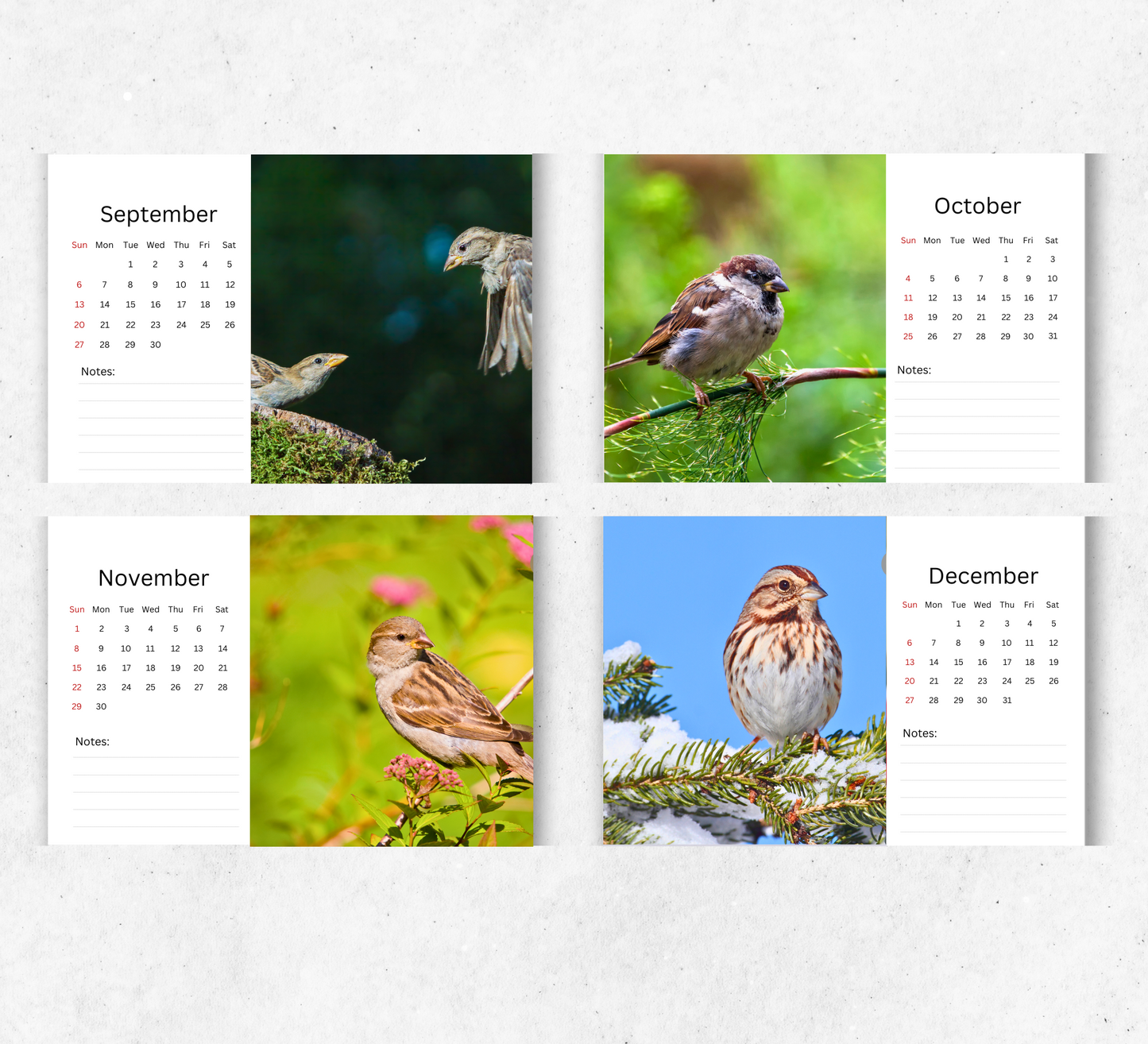 Sparrow Desk Calendar 2026-2027