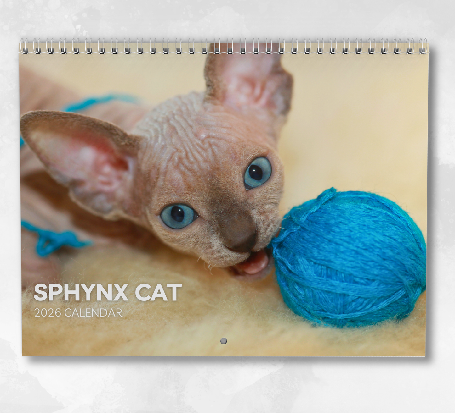 Sphynx Calendar 2026