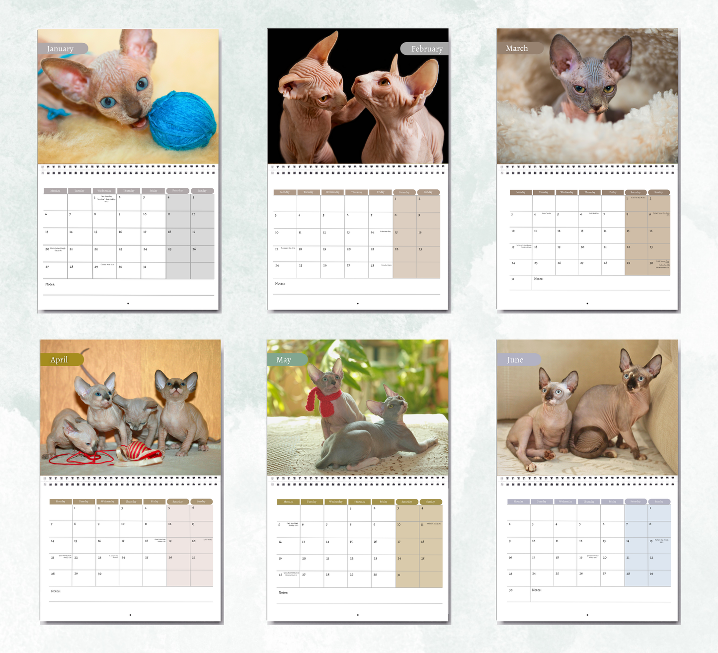 Sphynx Calendar 2026