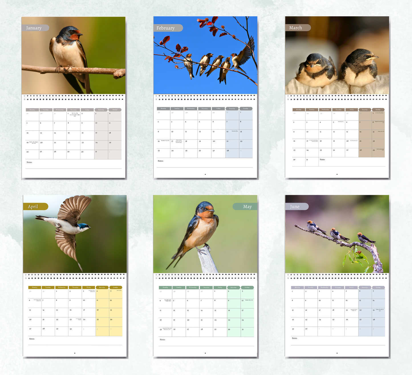 Swallow Calendar 2026