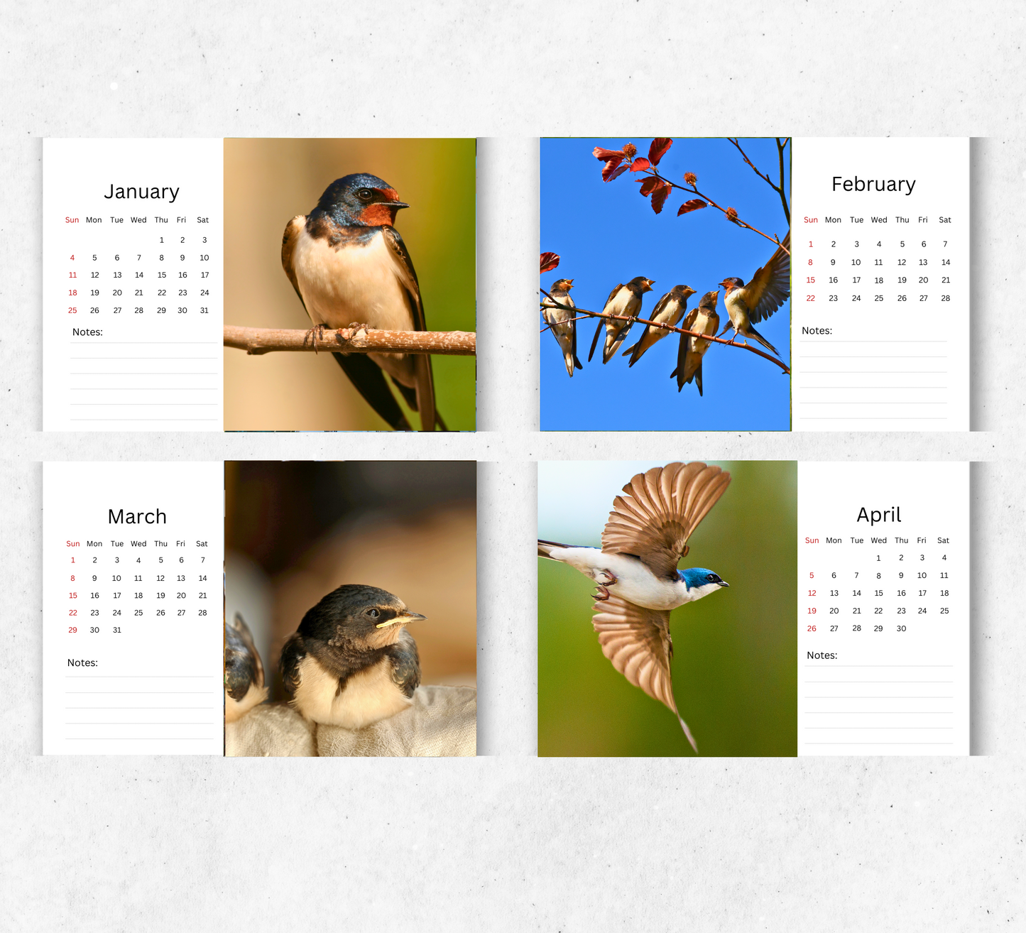 Swallow Desk Calendar 2026-2027