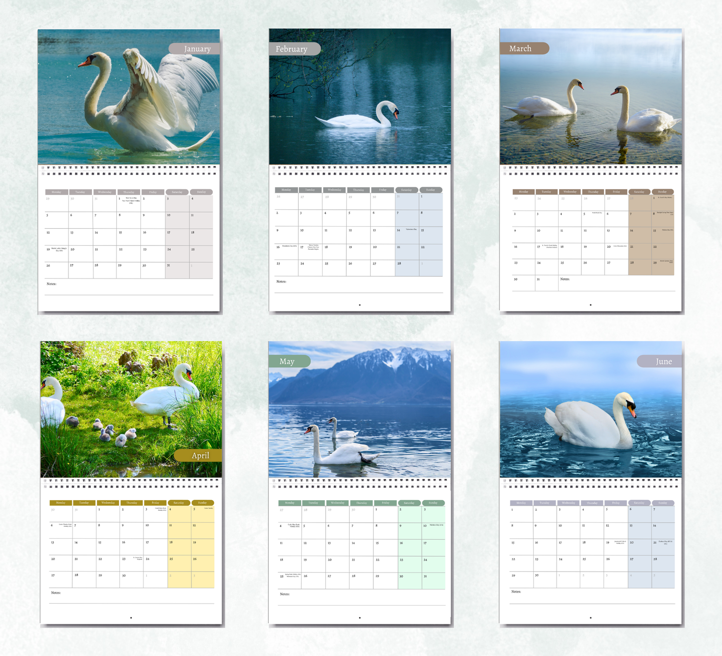 Swan Calendar 2026