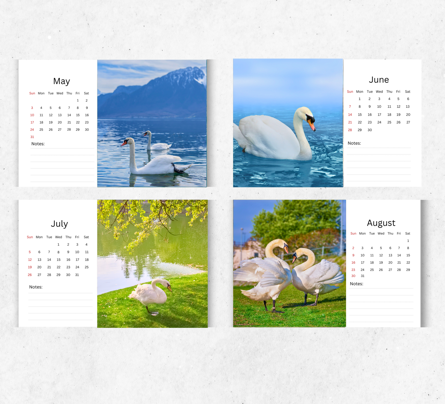 Swan Desk Calendar 2026-2027