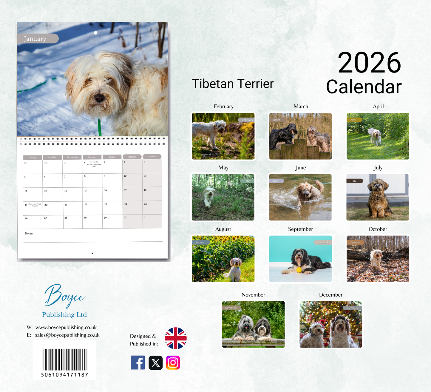 Tibetan Terrier Calendar 2026