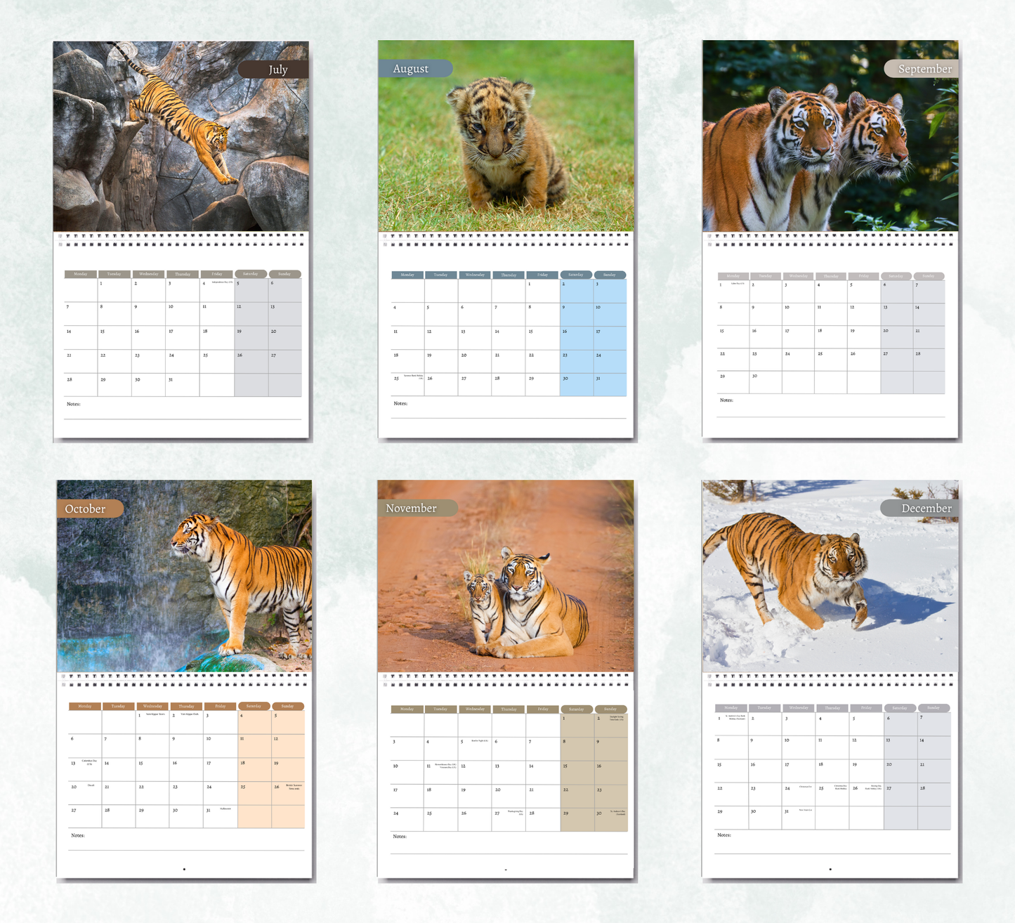 Tiger Calendar 2026