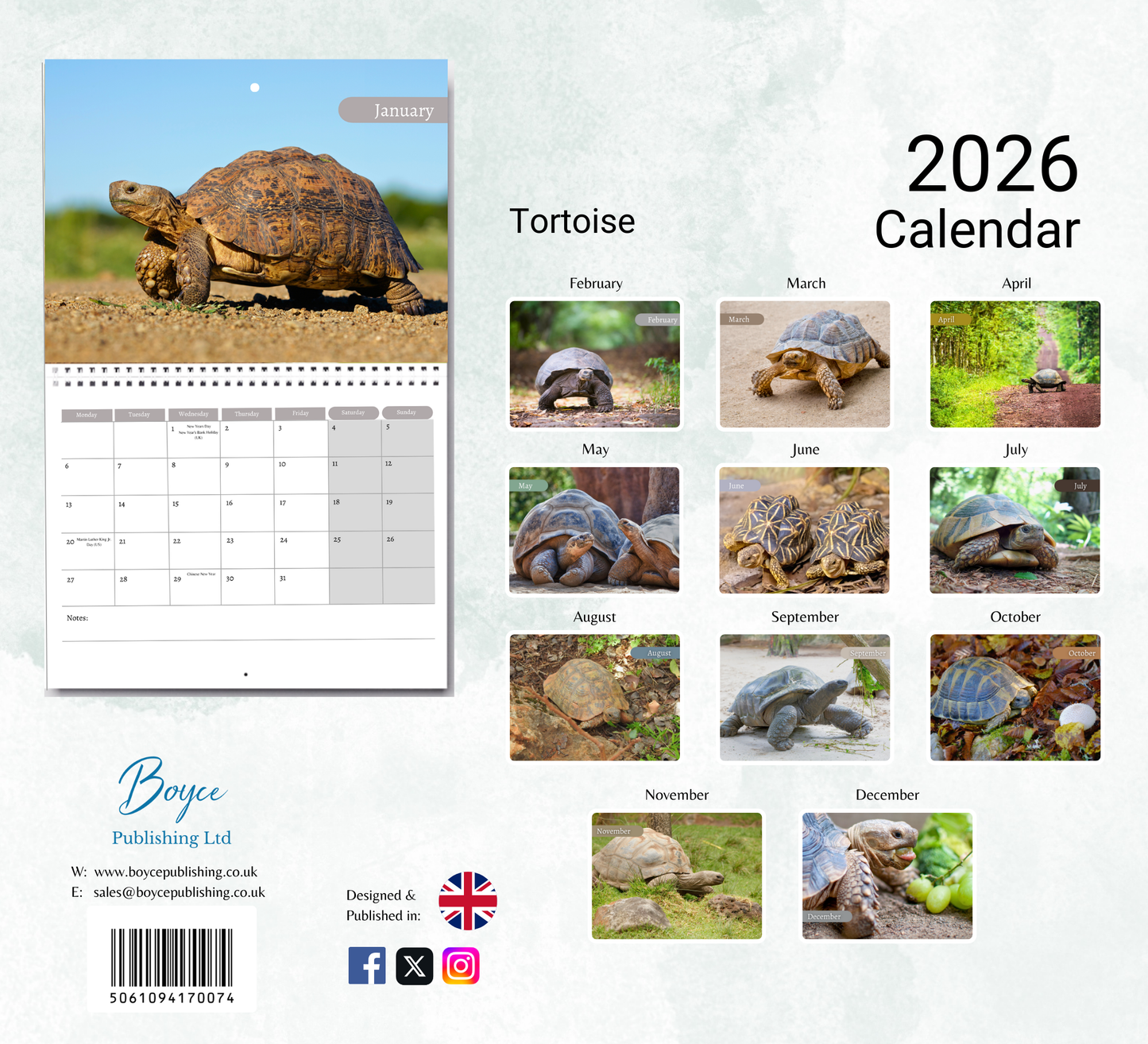 Tortoise Calendar 2026