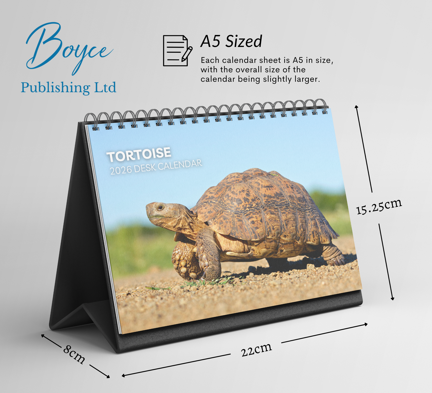 Tortoise Desk Calendar 2026-2027
