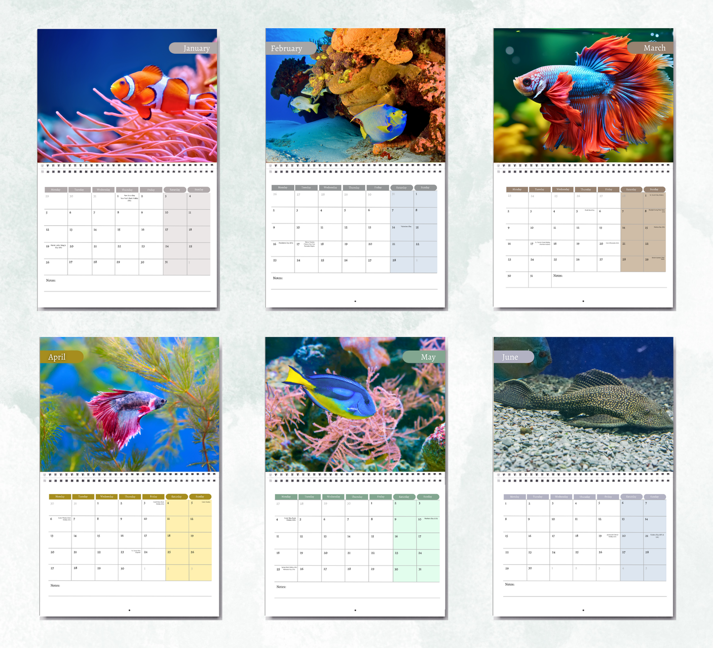 Tropical Fish Calendar 2026