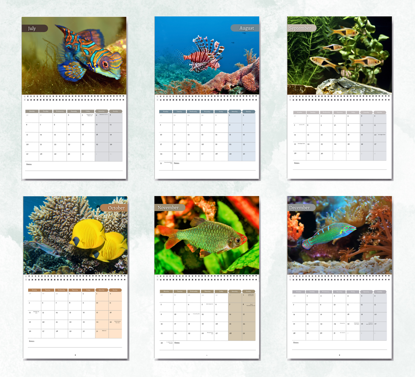 Tropical Fish Calendar 2026