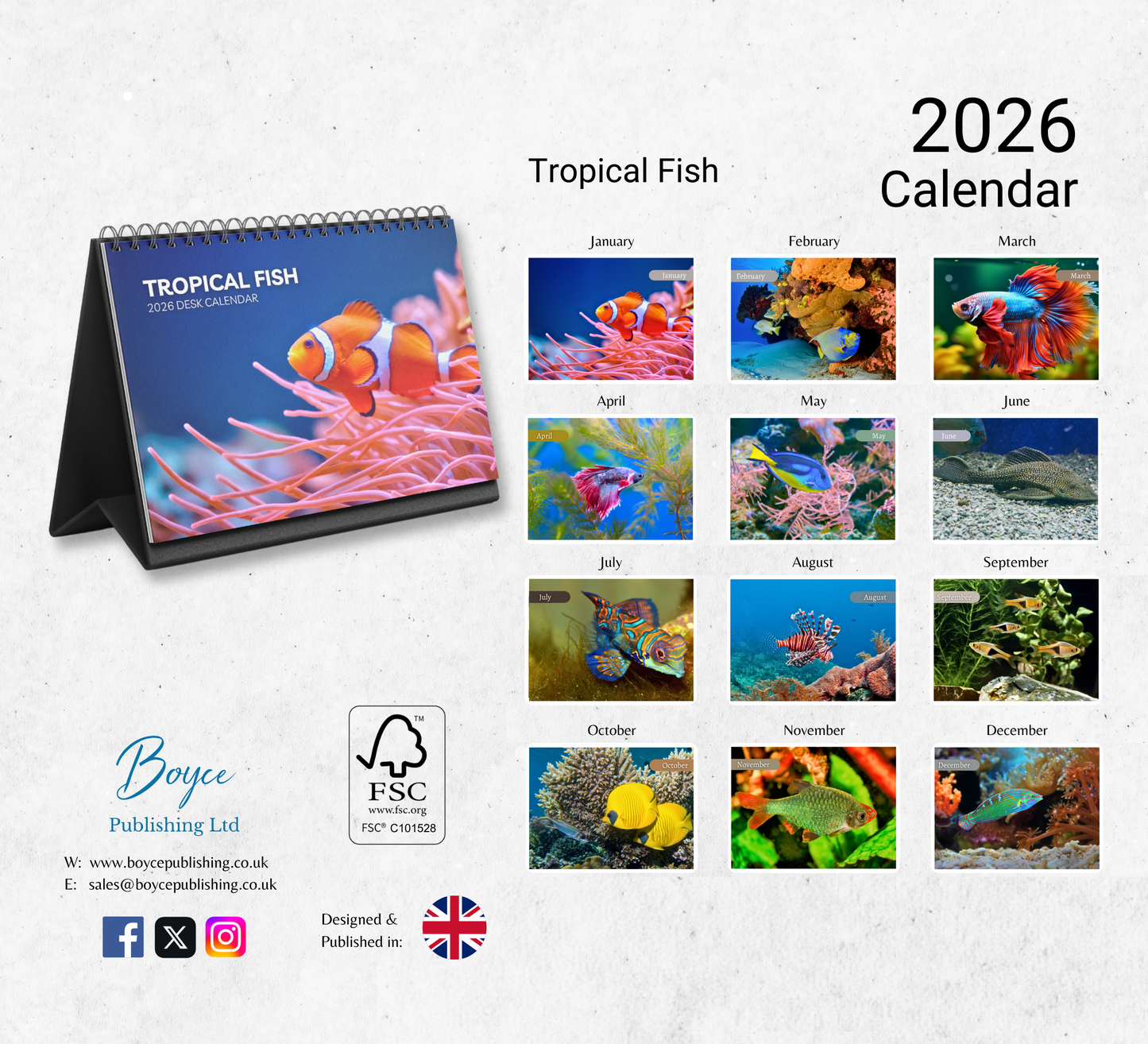 Tropical Fish Desk Calendar 2026-2027