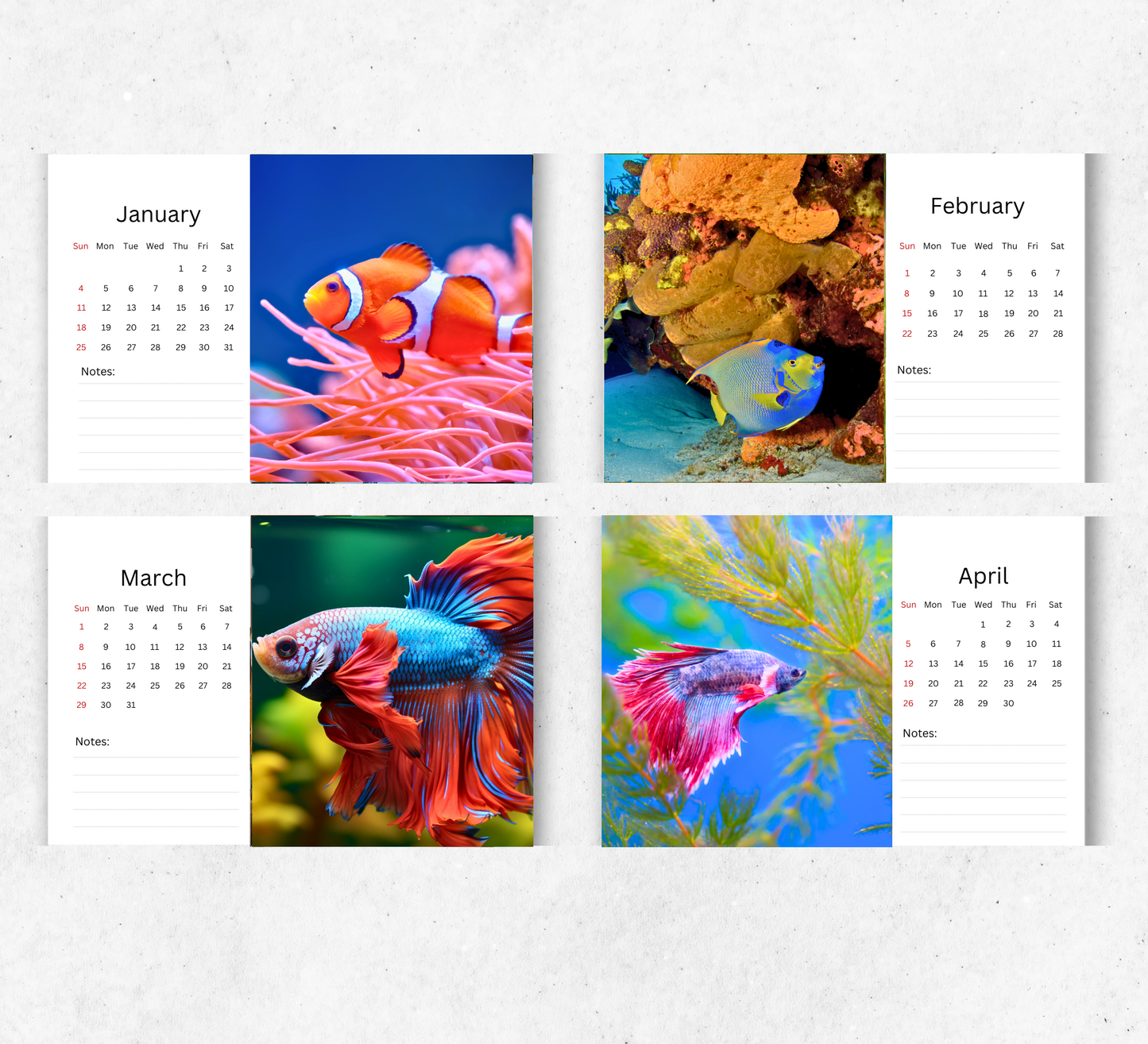 Tropical Fish Desk Calendar 2026-2027