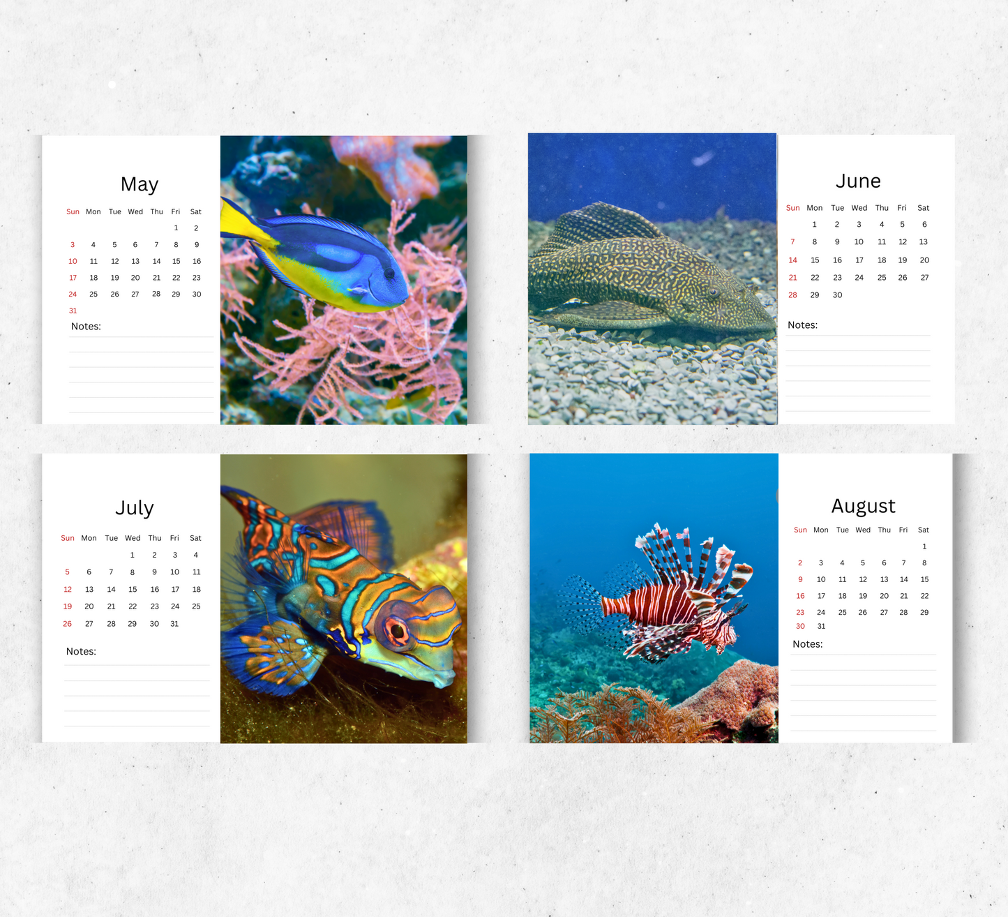 Tropical Fish Desk Calendar 2026-2027