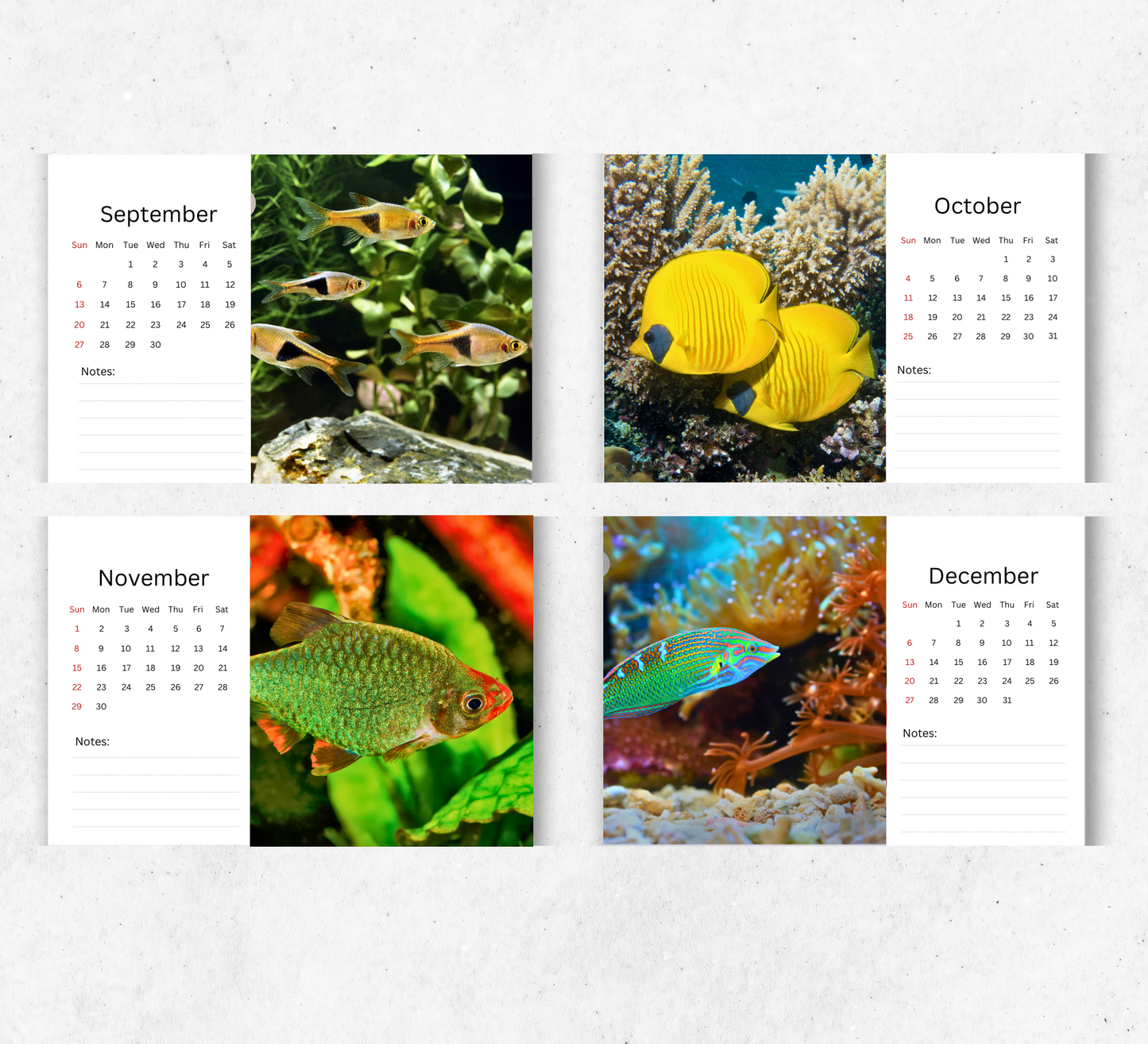 Tropical Fish Desk Calendar 2026-2027