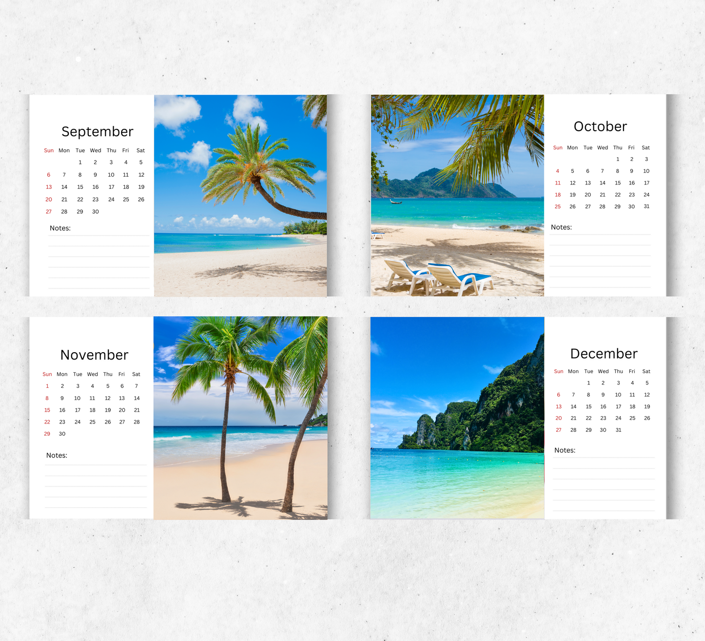 Tropical Islands Desk Calendar 2026-2027