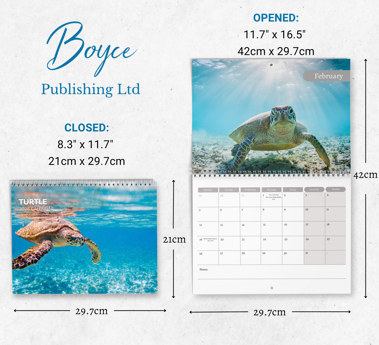 Turtle Calendar 2026