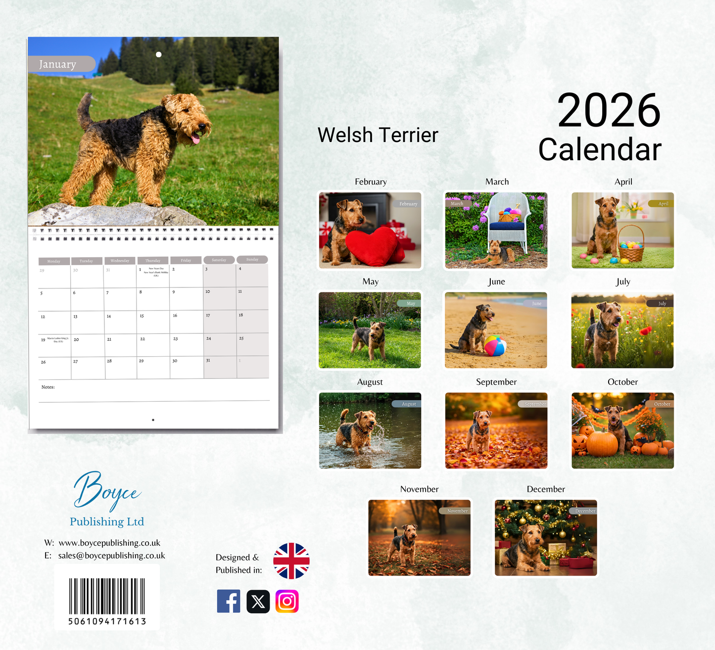 Welsh Terrier Calendar 2026