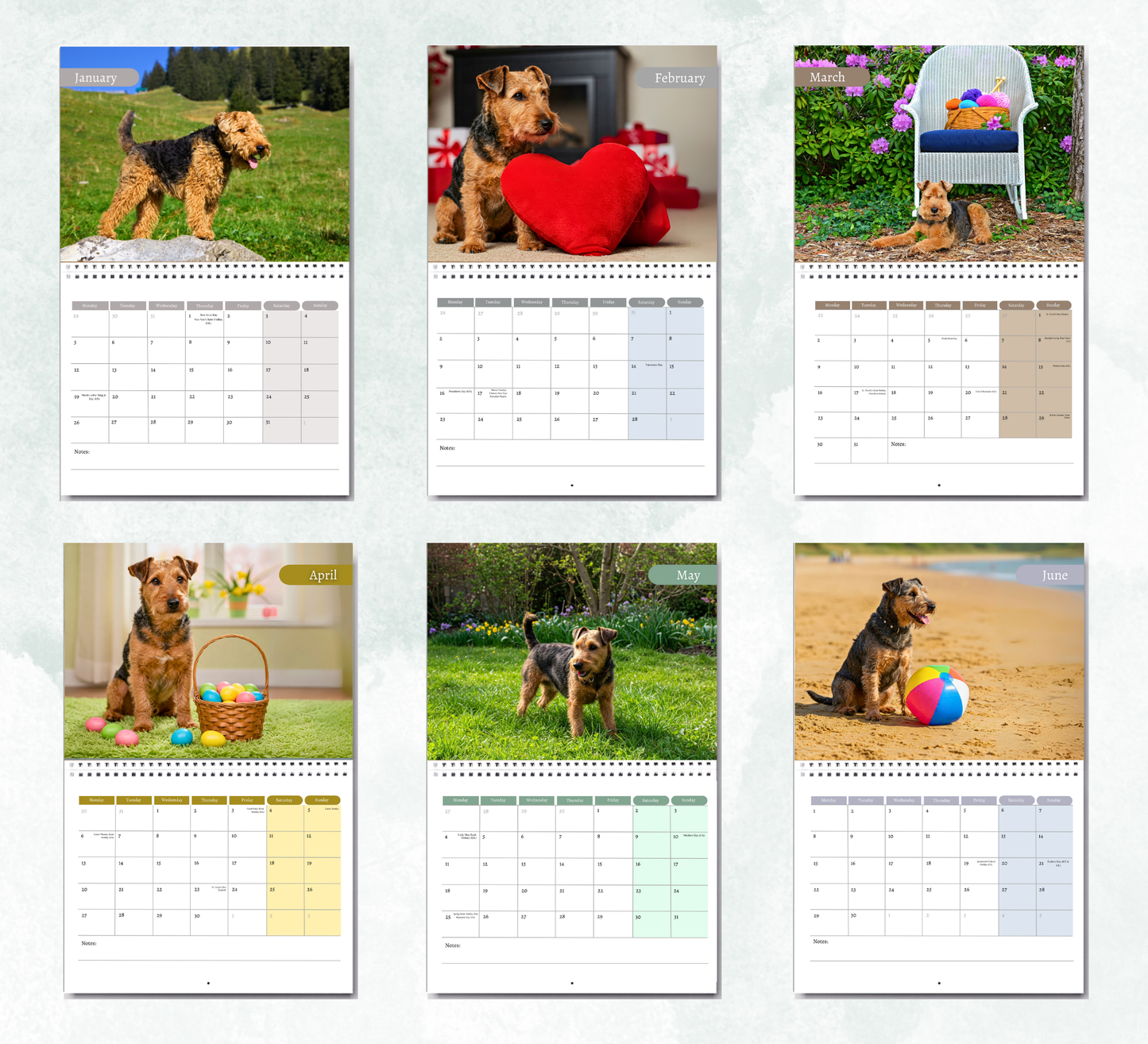 Welsh Terrier Calendar 2026