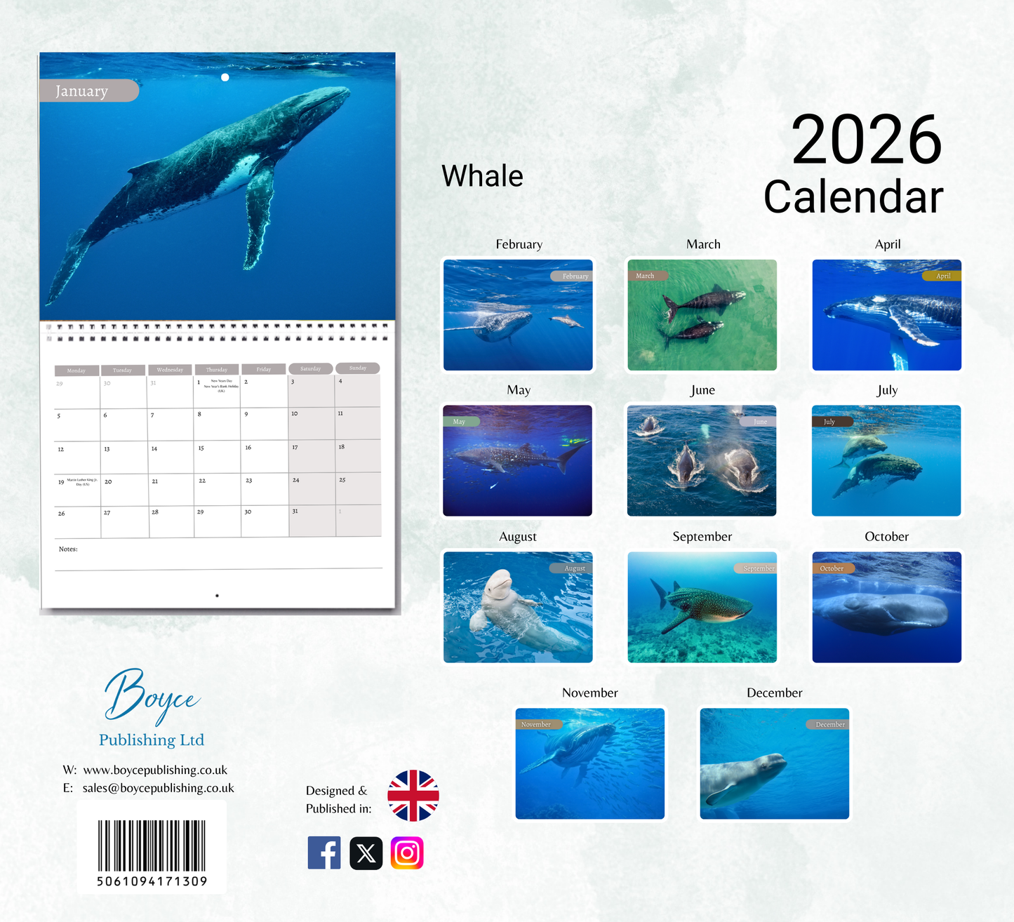 Whale Calendar 2026