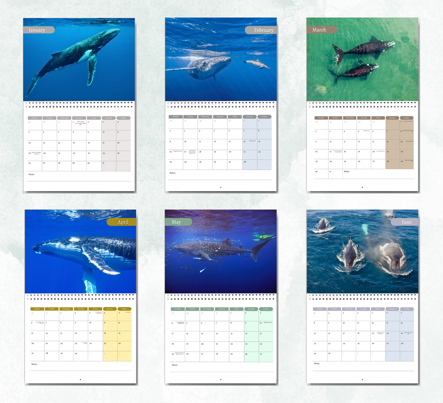 Whale Calendar 2026