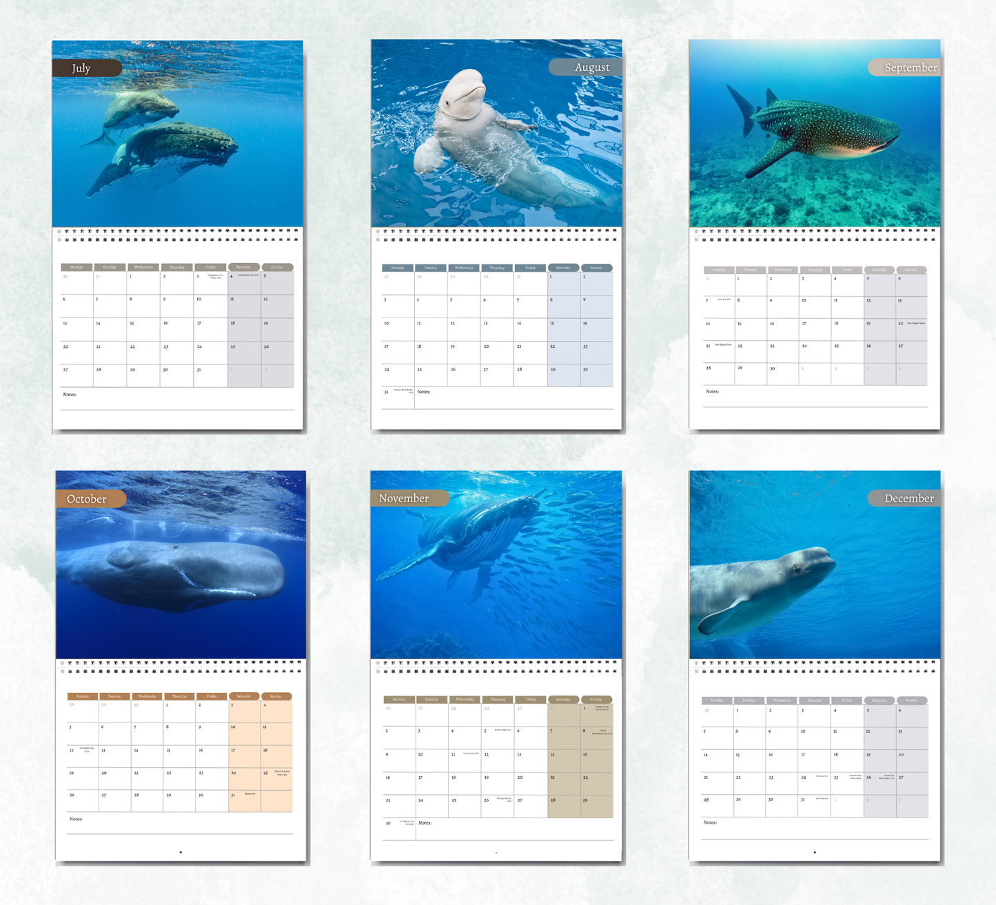 Whale Calendar 2026