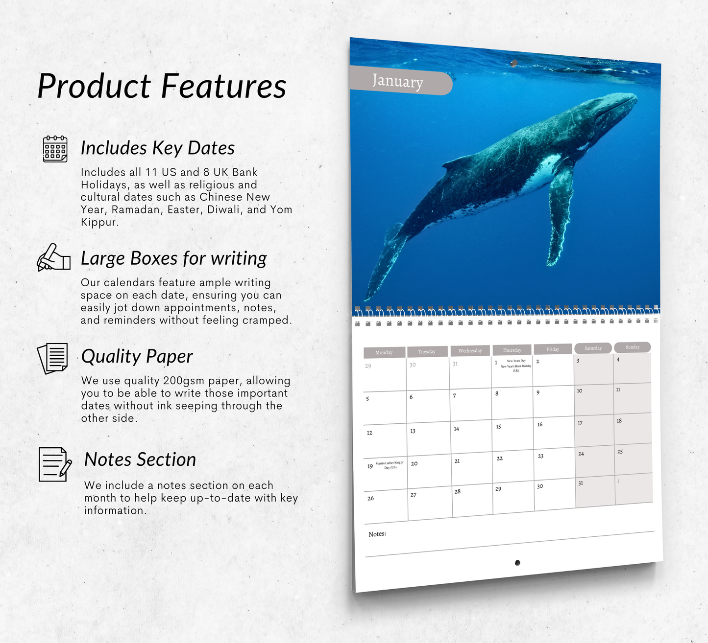 Whale Calendar 2026