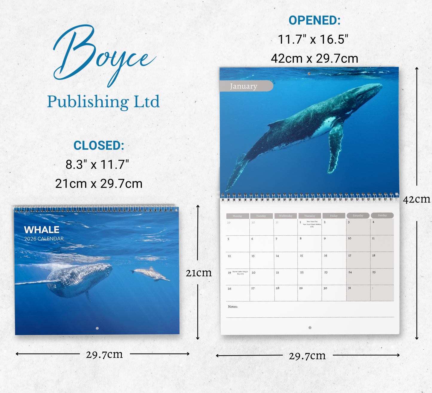 Whale Calendar 2026