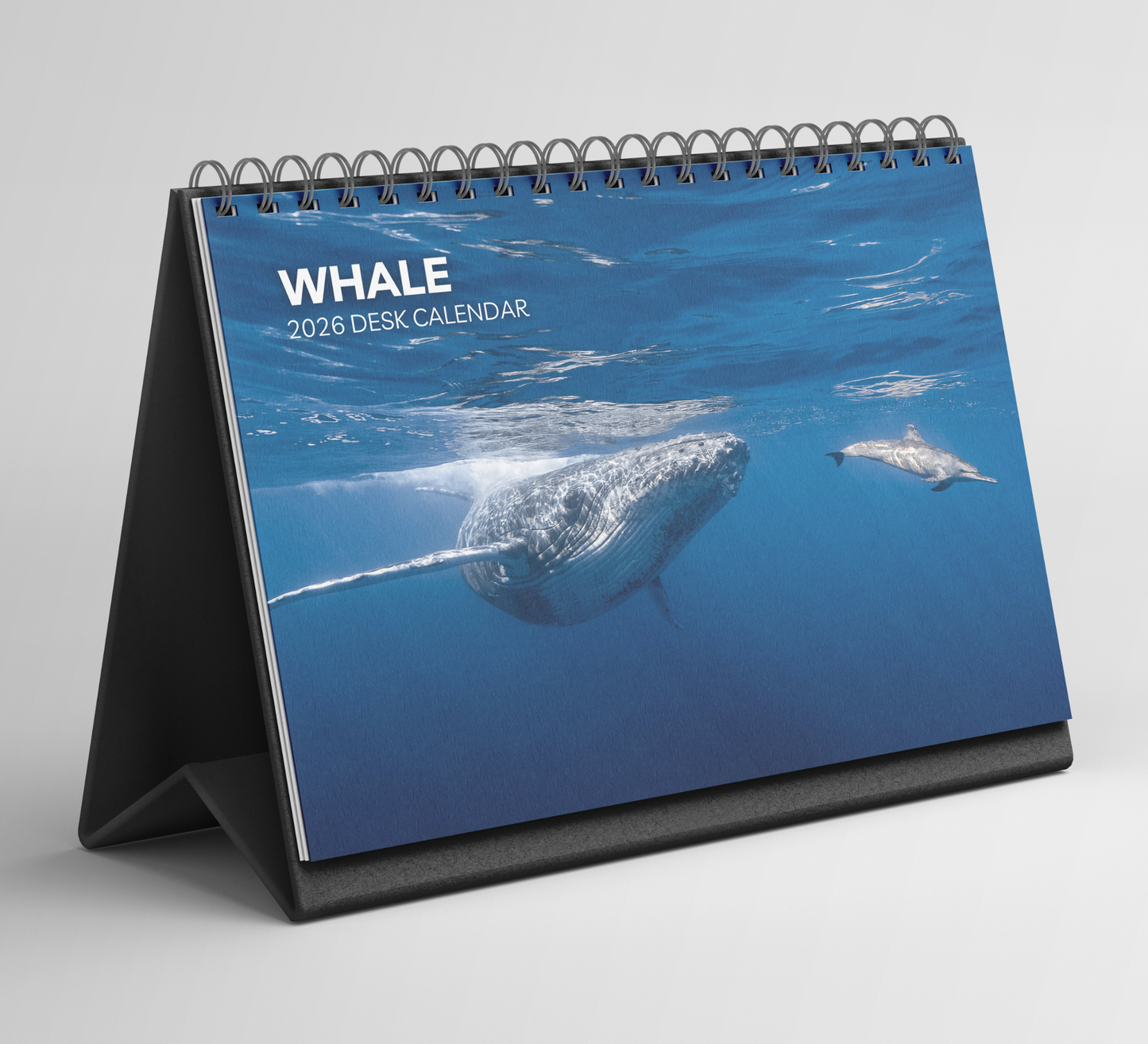 Whale Desk Calendar 2026-2027