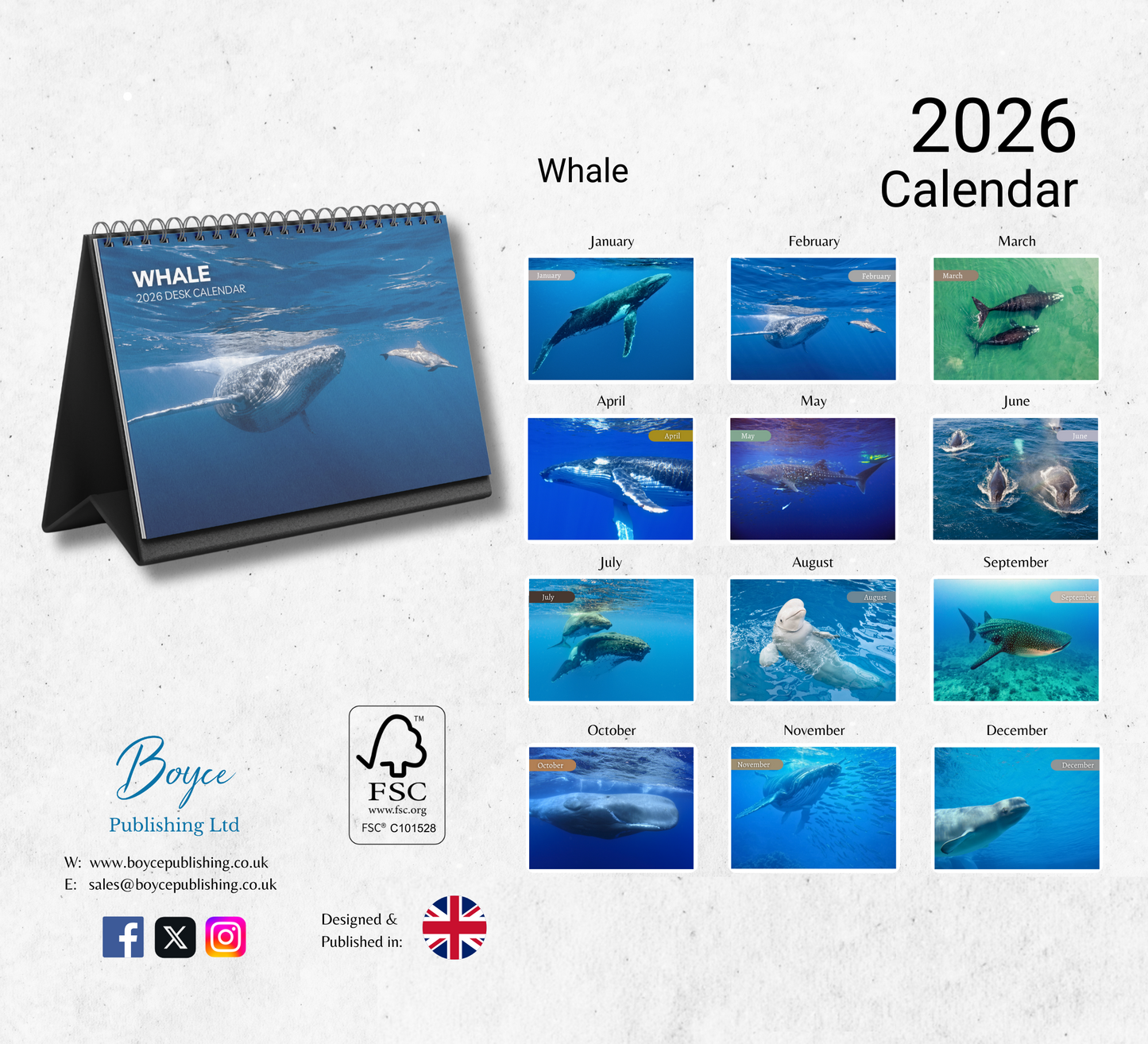 Whale Desk Calendar 2026-2027