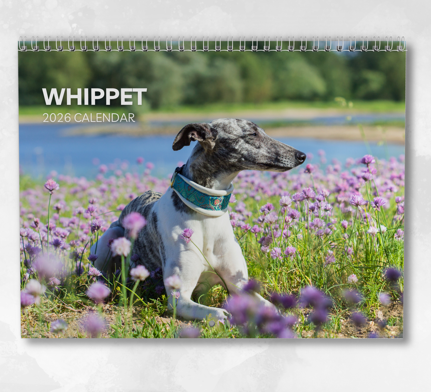 Whippet Calendar 2026