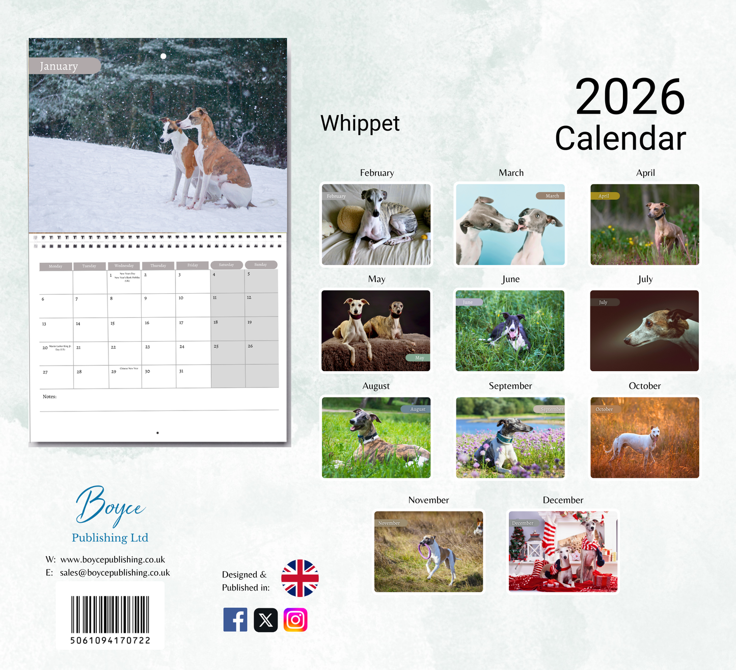 Whippet Calendar 2026