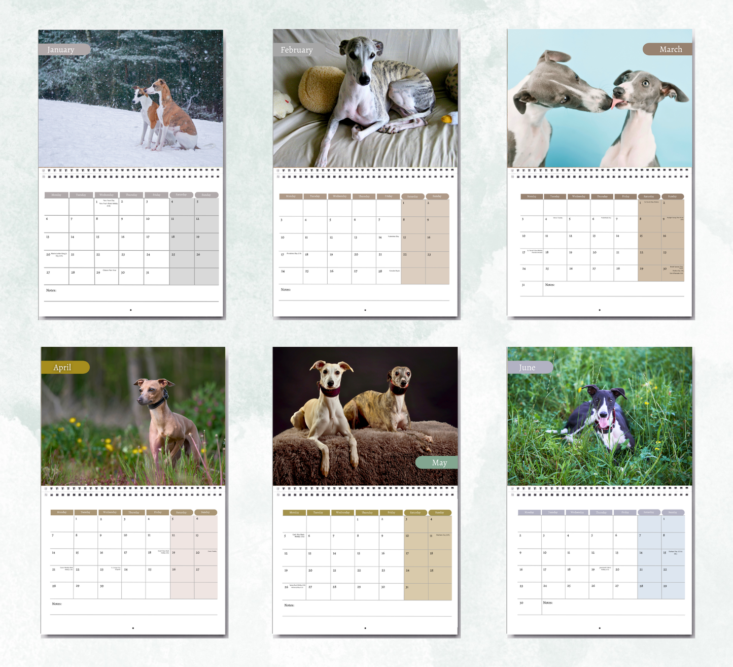Whippet Calendar 2026