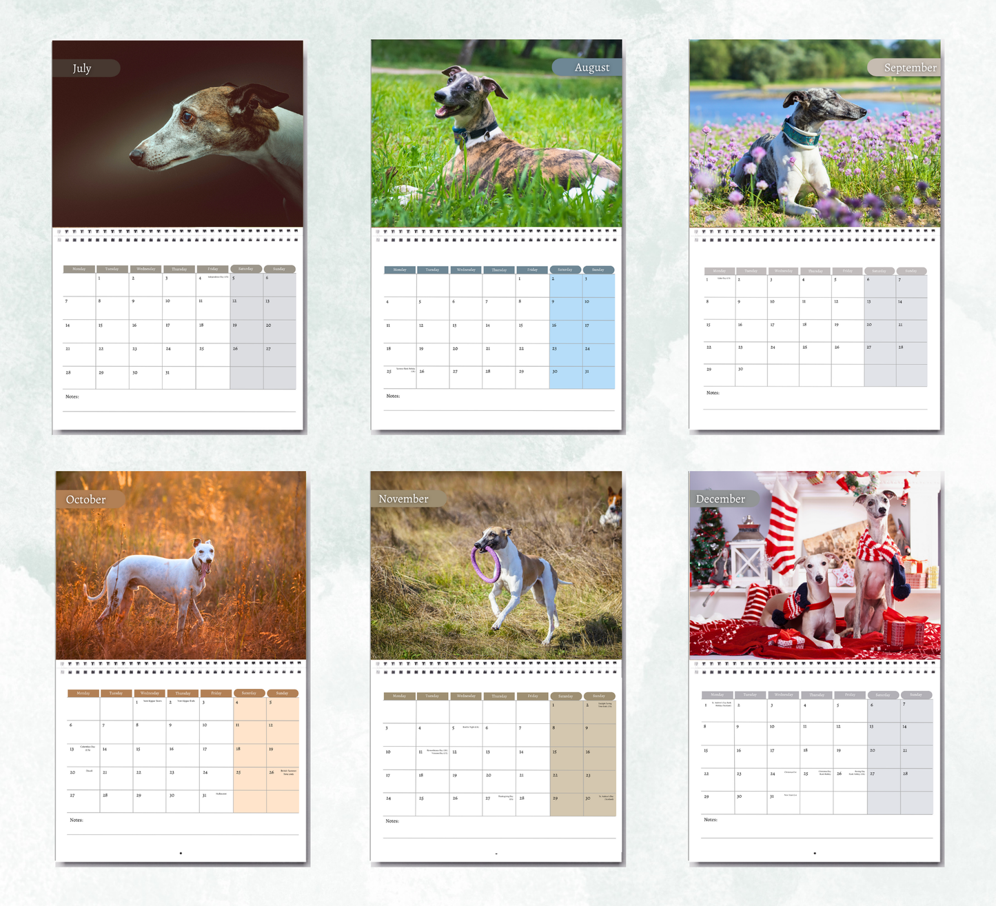 Whippet Calendar 2026