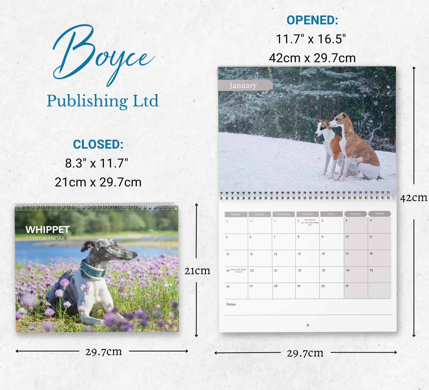 Whippet Calendar 2026