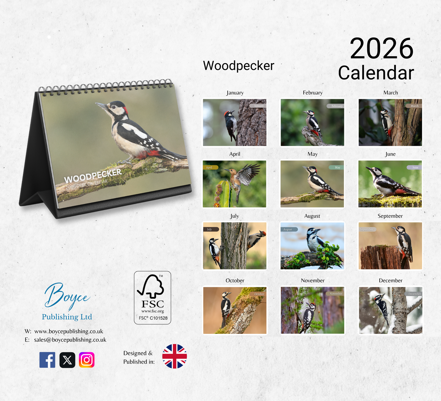 Woodpecker Desk Calendar 2026-2027